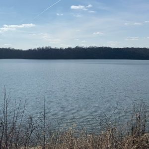 Meet your Posher, Tone